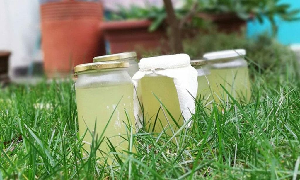 Domač limonin sirup