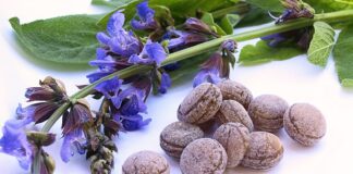 Domači žajbljevi bonboni