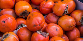 Kako doma medimo kaki