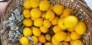 Sirup iz limon in žajblja